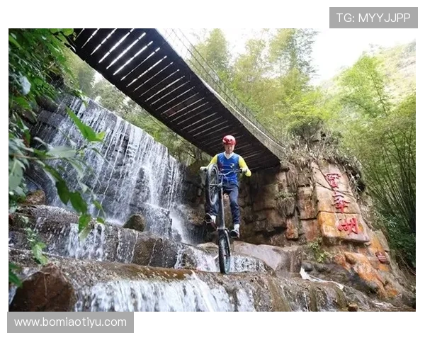 多米体育登录入口最新官方入口地址及更新动态，确保用户第一时间掌握登录信息